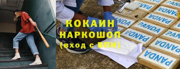 хмурый Алзамай