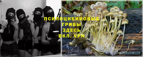 хмурый Алзамай